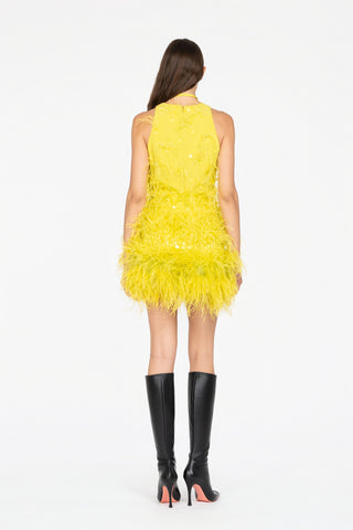 MINIDRESS WITH FEATHERS