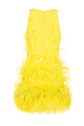 MINIDRESS WITH FEATHERS