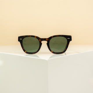 Johnny turtle sunglasses